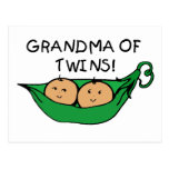 Grandma of Twins Pod Post Card