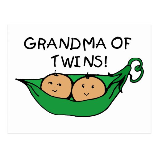 Grandma of Twins Pod Post Card