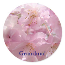 Grandma stickers Pink Tree Blossoms Flowers