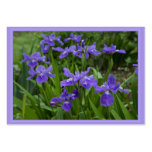 Grandma's Cali Iris Gift Tag business cards