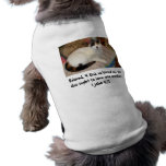 Grandma's house pet clothing
