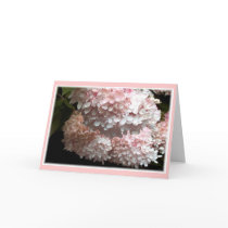 Grandmother Mothers Day Greeting Cards