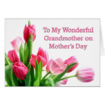 Grandmother Mother's Day Tulips Cards