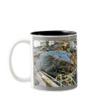Grandpa Toad Mug