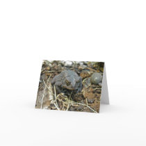 Grandpa Toad Note Card