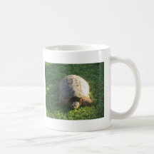 Grandpa Turtle Mug