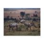 Grant's Zebra - Fighting Postcards