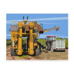 Grape Harvester Postcard