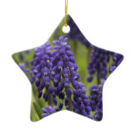 Grape Hyacinth Bulbs Ornament