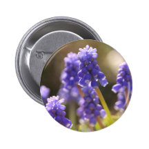 Grape Hyacinth Button