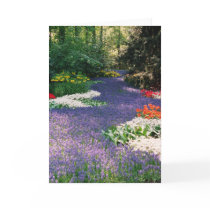 Grape Hyacinth River Card