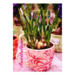 grape hyacinth spring dinner/brunch invitation