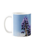 Grape Hyacinths ~ mug