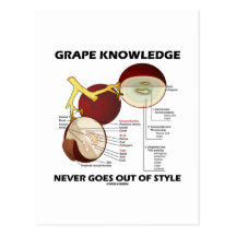 Grape Knowledge Never Goes Out Of Style Postcard