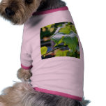 Grape Leaf Leaves Green pet clothing