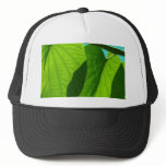 Grape leaves mesh hats