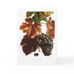 Grape vine cards