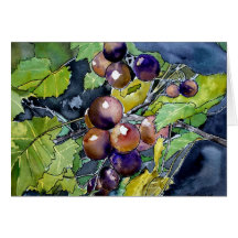 grape vine still life modern fruit greeting card