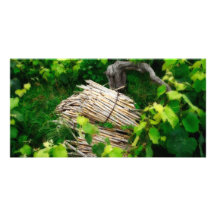 Grape vines customized photo card
