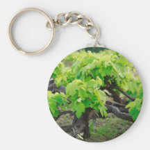 Grape vines key chains