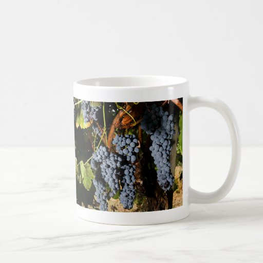 Grape Vineyard 2 Coffee Mugs