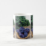 Grape Vineyard Coffee Mugs