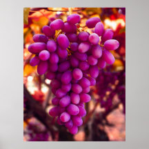 Grapes, Cesar Chavez Symbol Posters