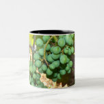 Grapes in a Vineyard Mug