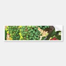 Grapes in a Vineyard Stickers Bumper Stickers