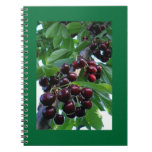 grapes notebooks