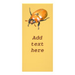 Grapevine Beetle ~ rack card rack cards