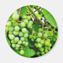 Grapevine Green Fridge Magnet