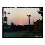 Grapevine Sunrise Postcard