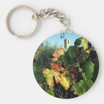 Grapevine, Tuscany, Italy Key Chains