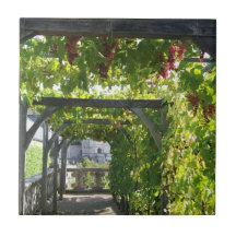 Grapevines at Villandry Ceramic Tiles
