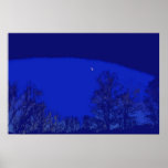 Graphic design poster - trees and deep blue sky