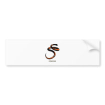Graphic Snake Orange