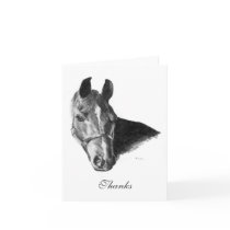 Graphite Arabian Horse Head Thank You Note Greeting Cards