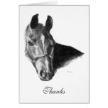 Graphite Arabian Horse Head Thank You Note Greeting Cards