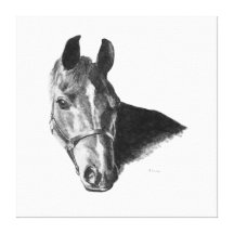 Graphite Horse Head Canvas Print