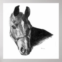 Graphite Horse Head Poster