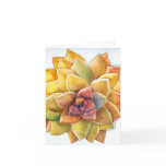 Graptopetalum watercolor card