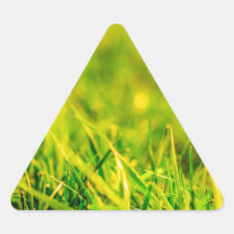 Grass at Sunset Triangle Sticker