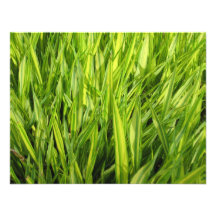 grass custom invitations