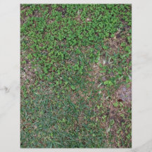Grass, dirt, and dollar weed custom flyer