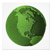 Grass Globe - North America Art Photo