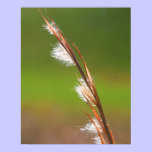 Grass Print posters