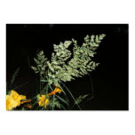 Grass seed ~ ATC business cards