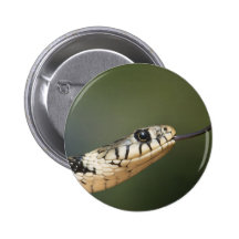 Grass Snake Pinback Button