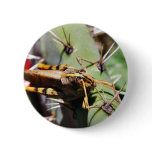 Grasshopper buttons